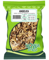 Chá de Angélica Raiz 50g – Digestão, Gases e Proteção (Erva dos Anjos)