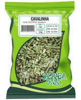 Cavalinha 50g – Drenagem Natural, Colágeno e Fim do Inchaço (Sagrada Ervas)