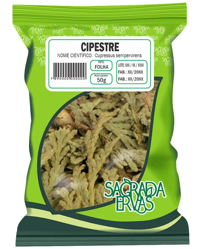 Chá de Cipreste (Folhas) 50g – Fim das Pernas Pesadas, Varizes e Hemorroidas (Sagrada Ervas)