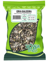 Erva Baleeira (Folha Mista) 30g – O "Diclofenaco Natural" para Dores Musculares e Coluna (Sagrada Ervas)