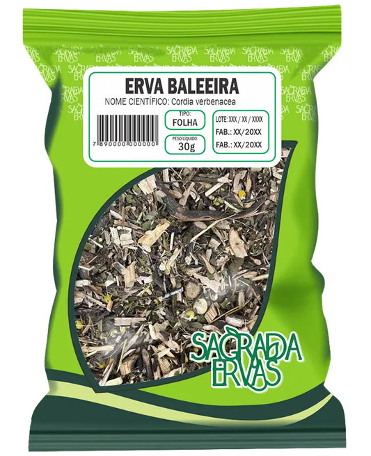 Erva Baleeira (Folha Mista) 30g – O "Diclofenaco Natural" para Dores Musculares e Coluna (Sagrada Ervas)