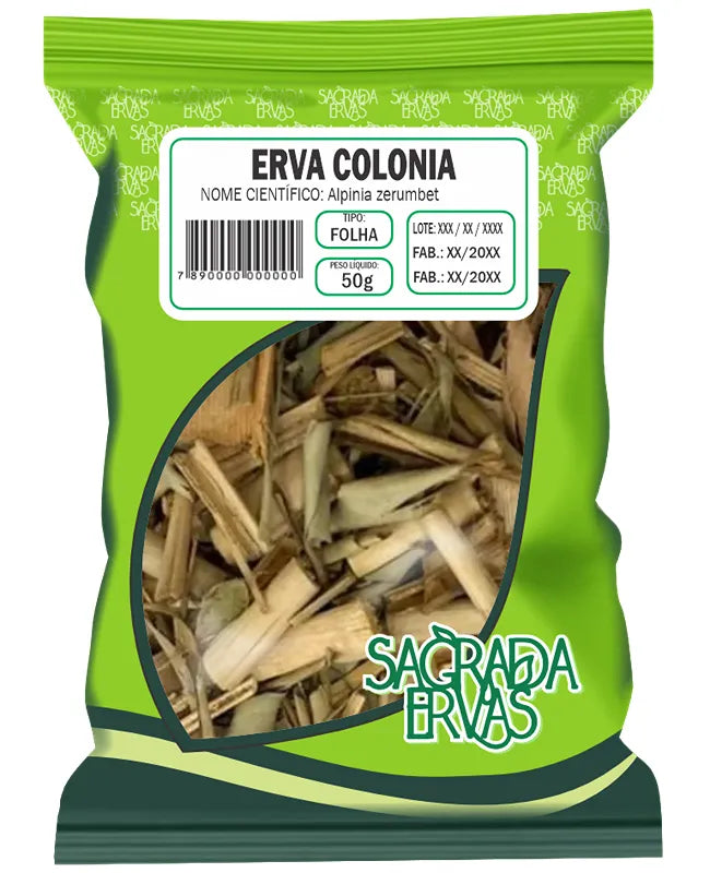 Chá de Erva Colônia (Folhas) 50g – Pressão Alta, Nervosismo e Ansiedade (Sagrada Ervas)