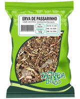 Chá de Erva de Passarinho (Talos) 50g – Pneumonia, Bronquite e Hemorragias (Sagrada Ervas)