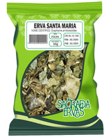 Erva de Santa Maria (Mastruz) Folhas 30g – Vermífugo, Cicatrizante e "Pancadas" (Sagrada Ervas)