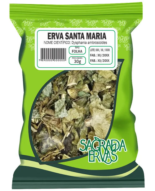 Erva de Santa Maria (Mastruz) Folhas 30g – Vermífugo, Cicatrizante e "Pancadas" (Sagrada Ervas)