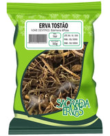 Chá de Erva Tostão (Pega-Pinto) 50g – Limpeza do Fígado, Rins e Cistite (Sagrada Ervas)