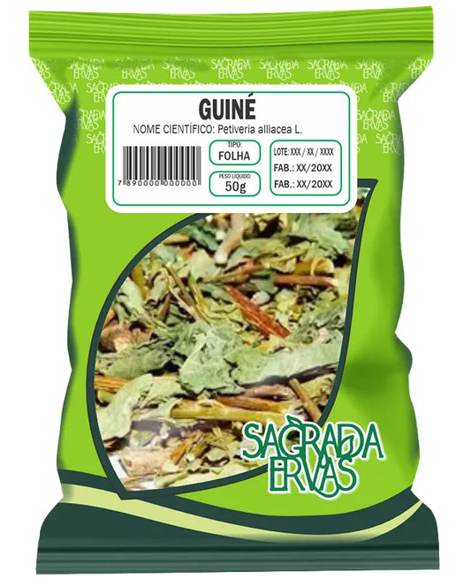 Guiné (Folhas) 50g – Limpeza Espiritual Pesada e Dores Reumáticas (Sagrada Ervas)