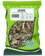 Chá de Levante (Folhas) 30g – Energia, Banho de Ervas, Digestão e Vermífugo (Sagrada Ervas)