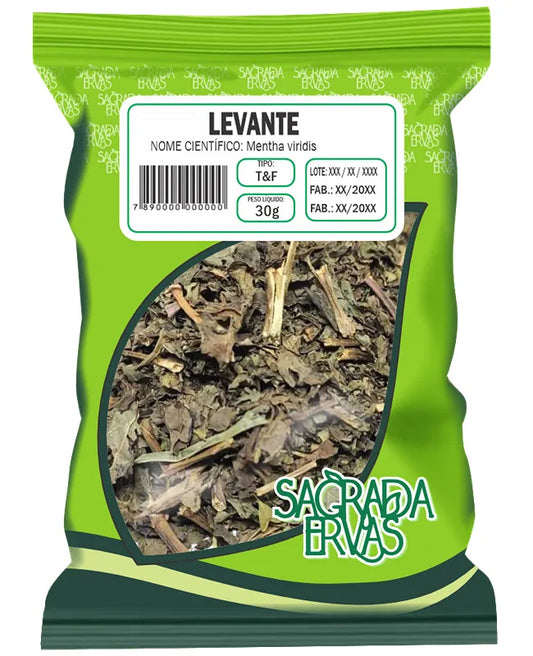 Chá de Levante (Folhas) 30g – Energia, Banho de Ervas, Digestão e Vermífugo (Sagrada Ervas)