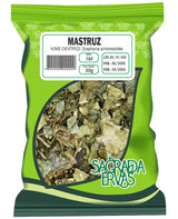 Mastruz (Erva-de-Santa-Maria) 30g – Vermífugo, Bronquite, Tosse Forte e Pancadas (Sagrada Ervas)